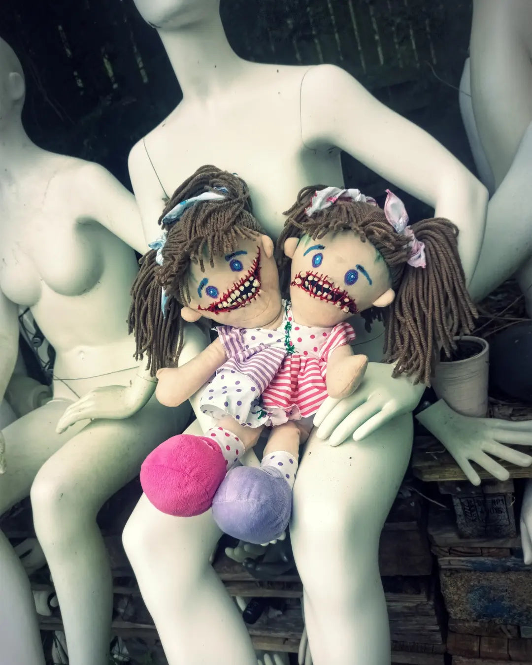 Joy and Woe